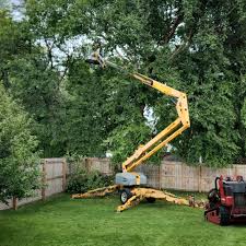 Artificial Turf Installation in Shrub Oak, NY