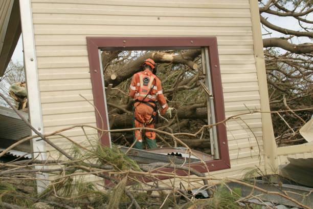 How Our Tree Care Process Works  in  Shrub Oak, NY